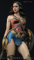 Preview: JND Platinum Wonder Woman of Justice League